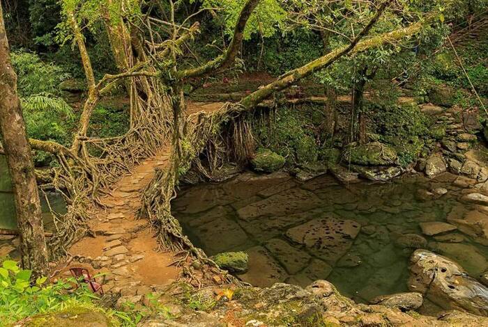 India Expedition: Sikkim, Assam & Nagaland India Expedition: Sikkim, Assam & Nagaland