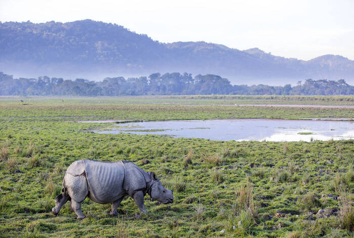 India Expedition: Sikkim, Assam & Nagaland India Expedition: Sikkim, Assam & Nagaland