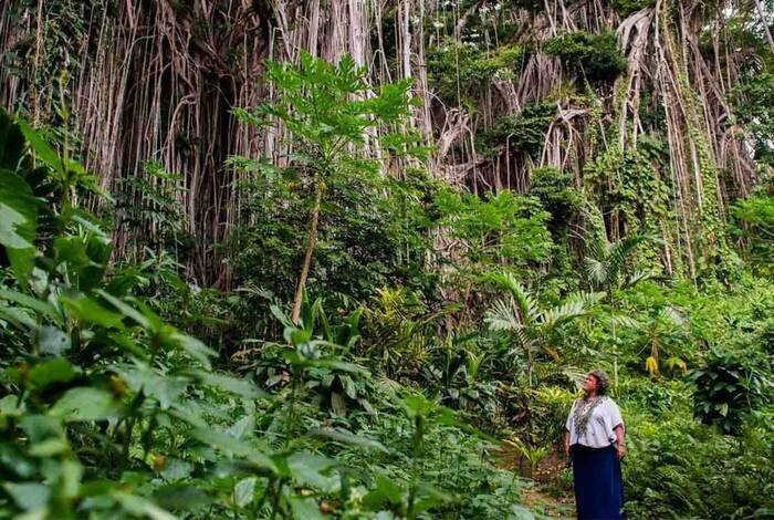 Vanuatu Adventure Vanuatu Adventure