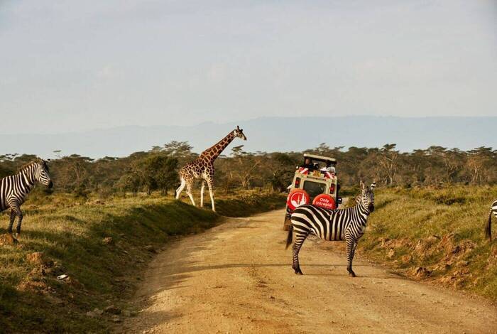 Kenya Wildlife Safari Kenya Wildlife Safari
