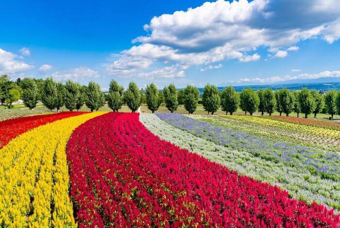 Northern Japan & Hokkaido Adventure Northern Japan & Hokkaido Adventure