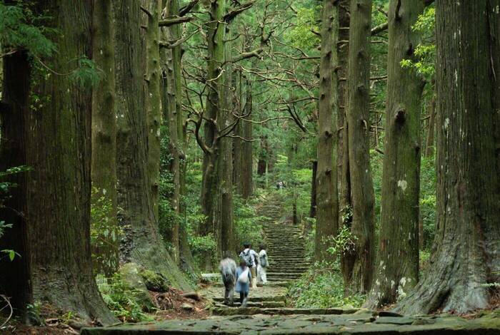 Japan: Koya-san & Kumano Kodo Trek Japan: Koya-san & Kumano Kodo Trek
