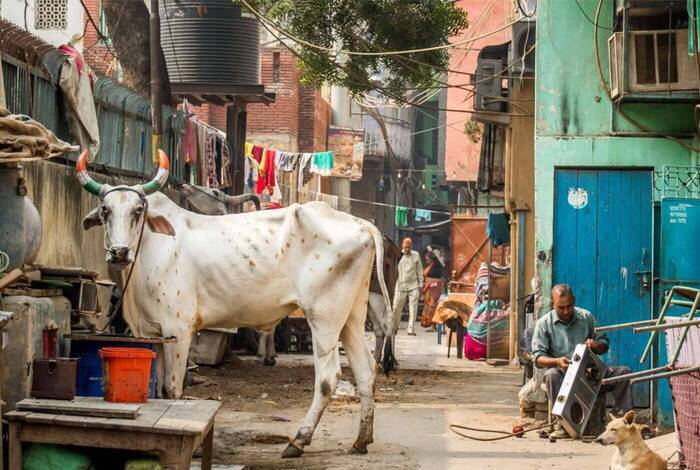 Delhi to Kathmandu