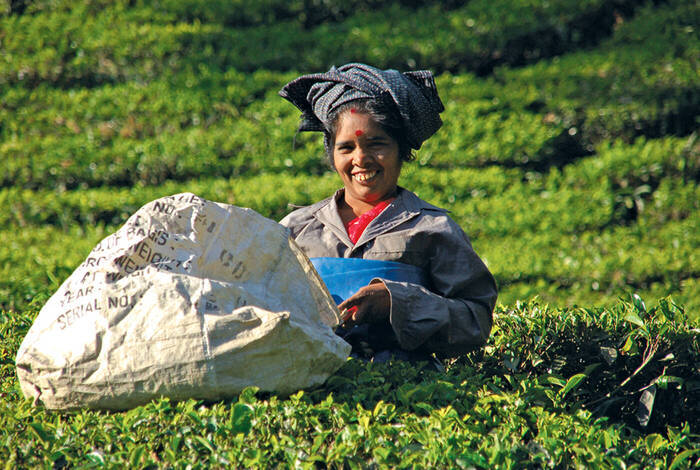 Southern India Southern India