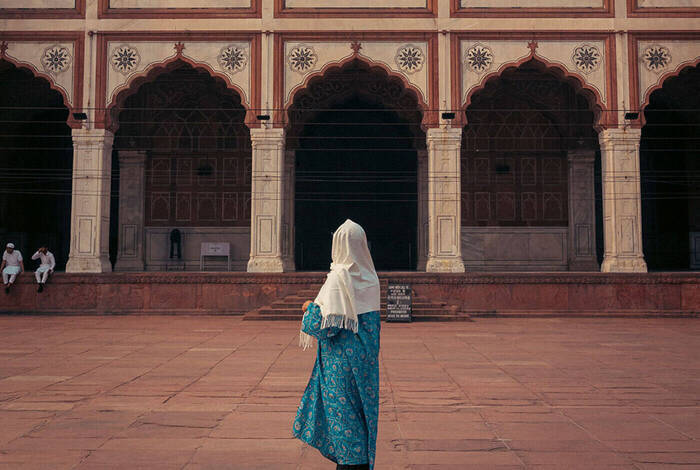 India Safari