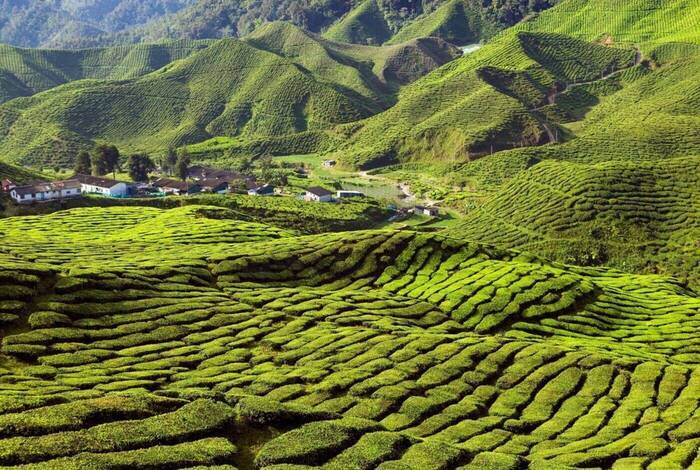 Singapore to Malaysia Real Food Adventure