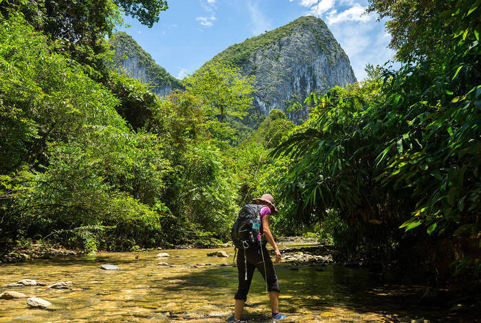 Wild Sarawak