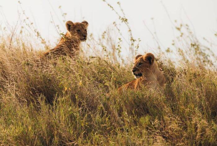 Stone Town to Nairobi Stone Town to Nairobi
