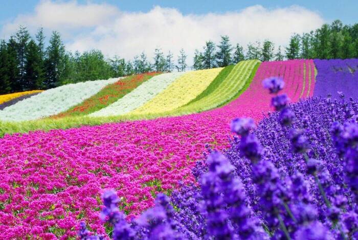 Japan Adventure Japan Adventure
