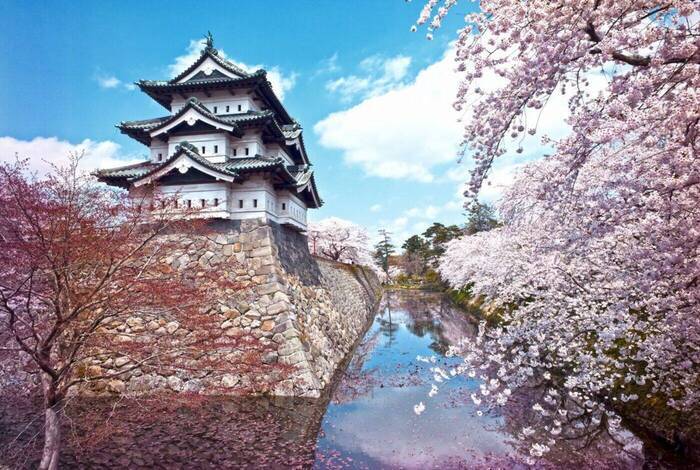 Japan Adventure Japan Adventure
