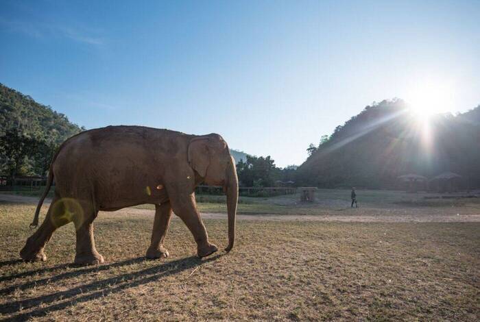 Thailand & Laos Adventure Thailand & Laos Adventure