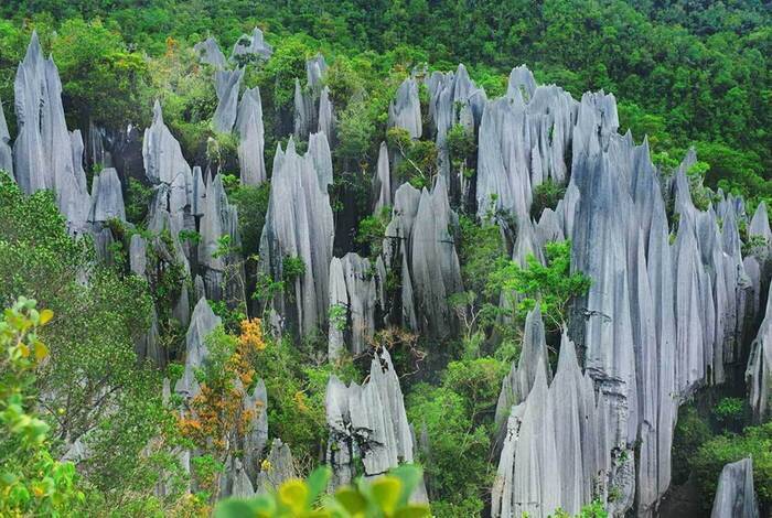 Best of Borneo Best of Borneo