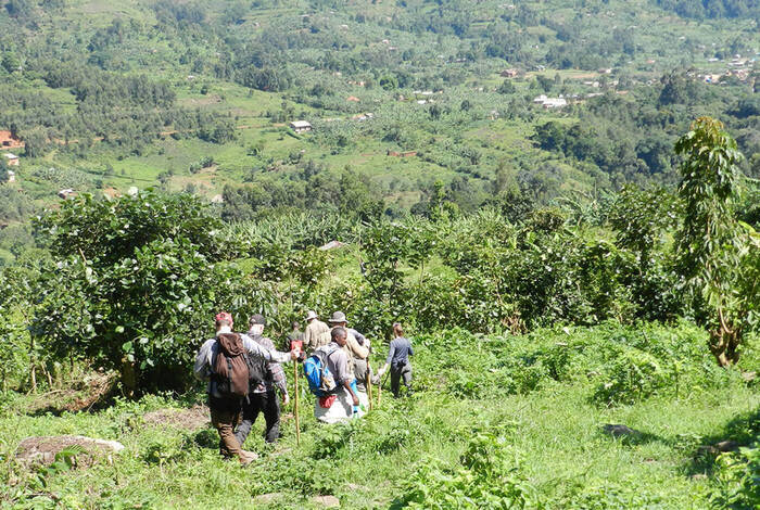 Remarkable Rwanda & Gorillas of Uganda