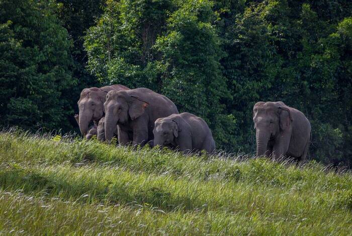 Hidden Gems of Thailand