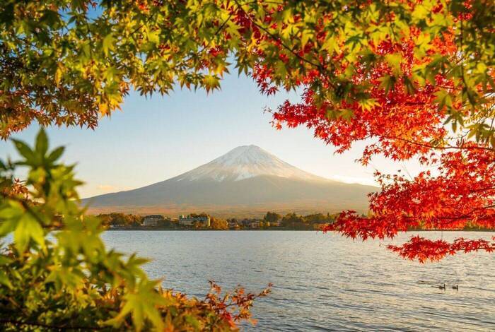 Ultimate Japan
