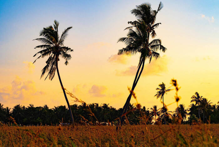 Maldives: Beyond the Beaches Maldives: Beyond the Beaches