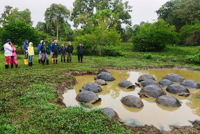 Galapagos Island Hopping Galapagos Island Hopping