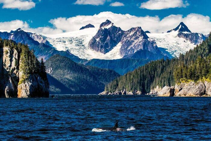 Best of Alaska Best of Alaska