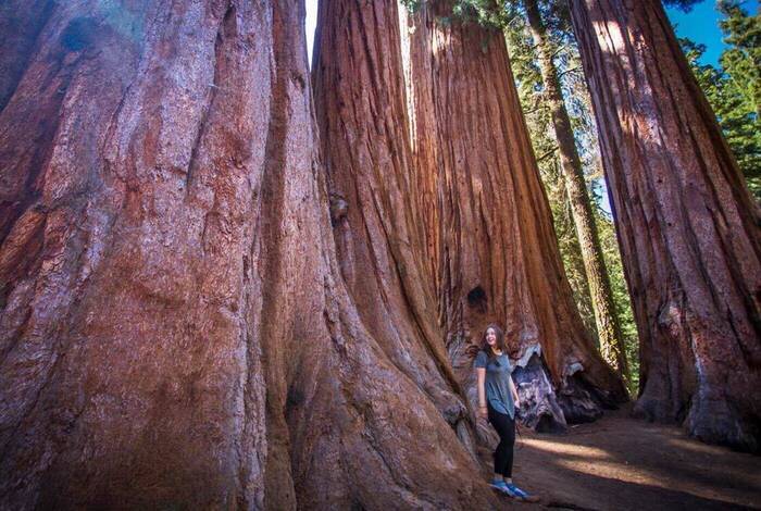 Best of California's National Parks Best of California's National Parks