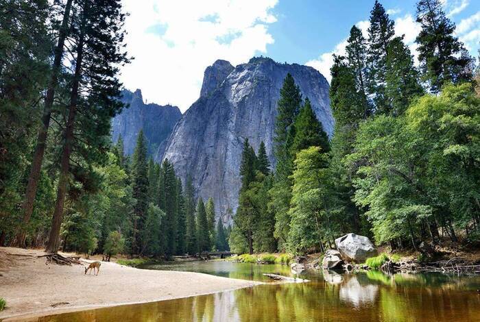 Best of California's National Parks Best of California's National Parks