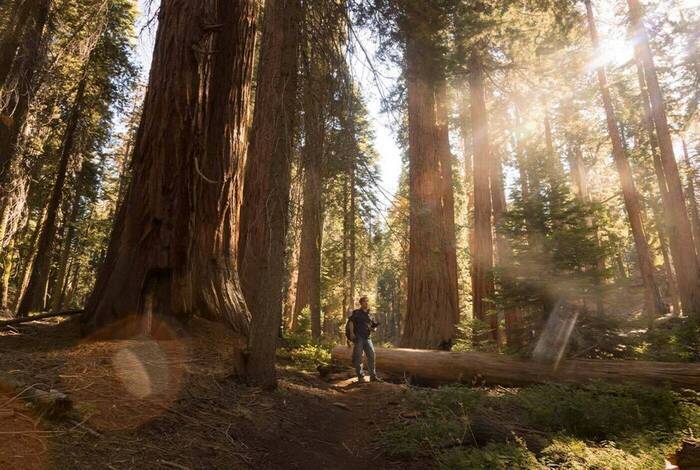 Best of California's National Parks Best of California's National Parks