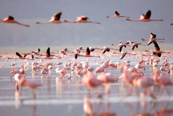 Best of East Africa Best of East Africa