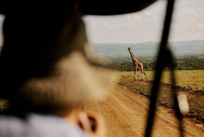 Kenya and Tanzania Family Safari Kenya and Tanzania Family Safari