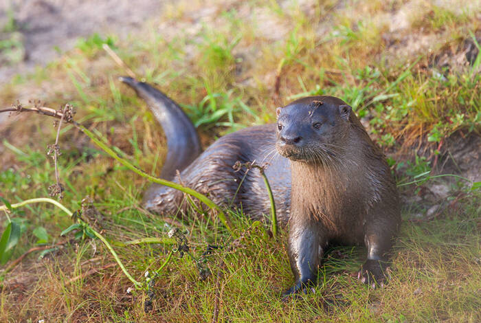 Argentina & Brazil Adventure Argentina & Brazil Adventure