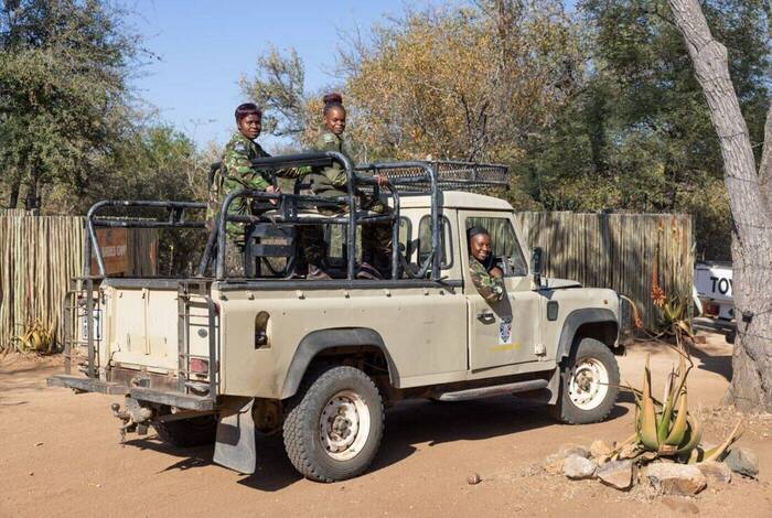 Southern Africa Safari Southern Africa Safari