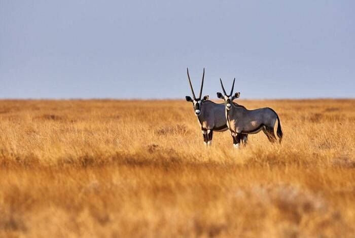 Namibia Discovery Namibia Discovery