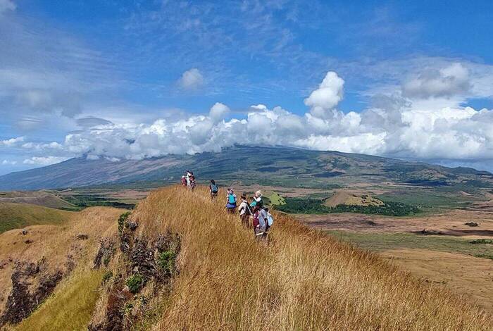 Comoros: Wildlife Expedition Comoros: Wildlife Expedition