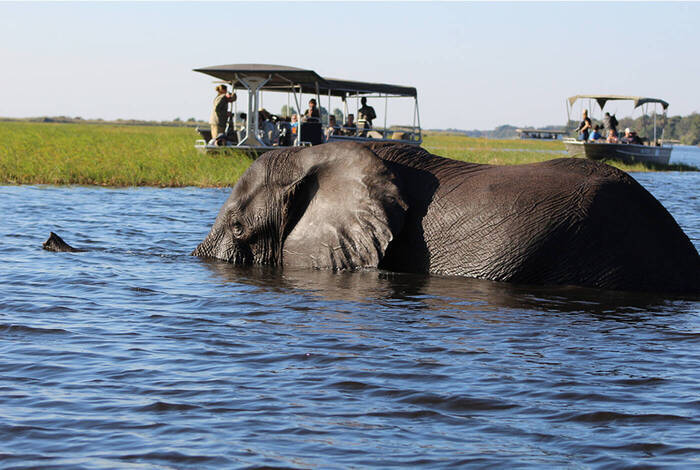 Okavango Experience Okavango Experience