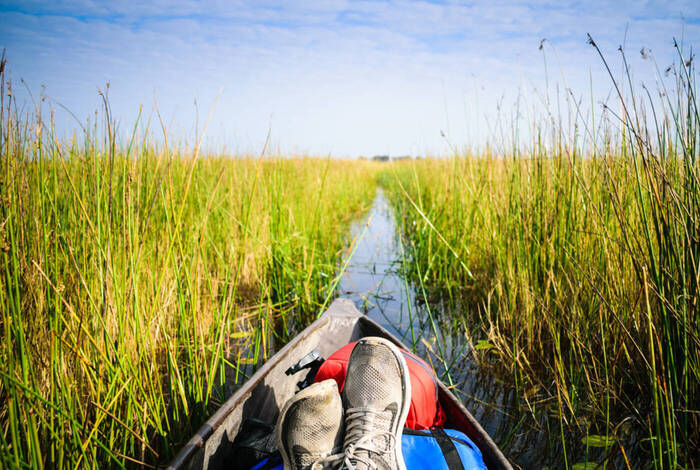 Okavango Experience Okavango Experience
