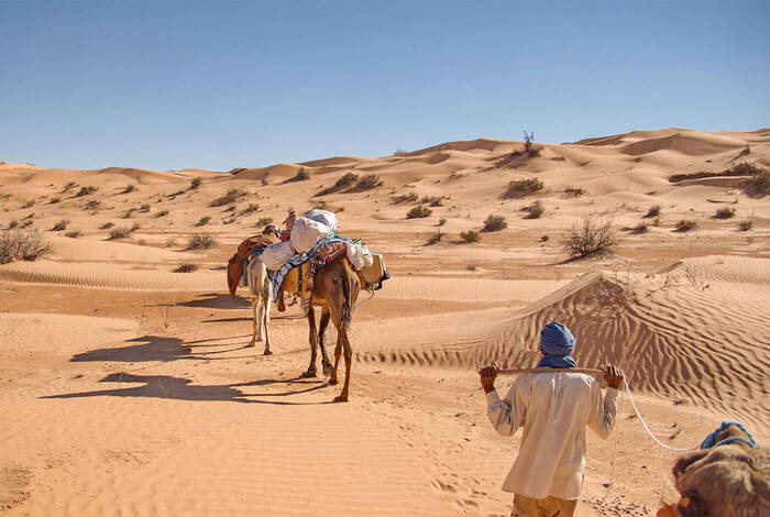 Tunisia Explorer Tunisia Explorer