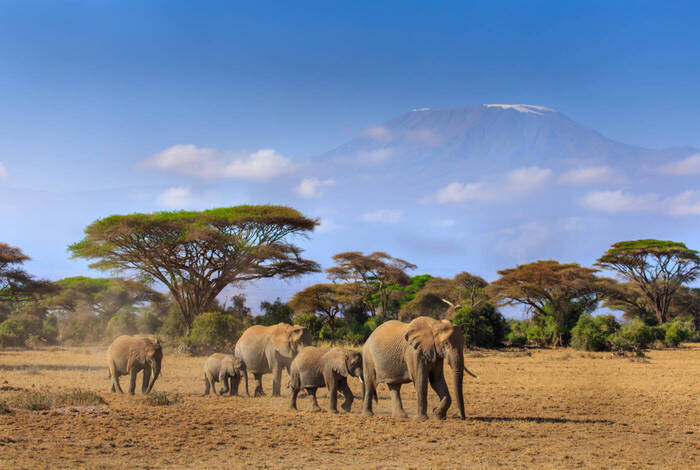 Serengeti & Kilimanjaro - Marangu Route Serengeti & Kilimanjaro - Marangu Route