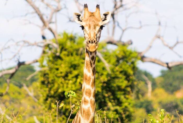 Amazing Southern Africa Amazing Southern Africa