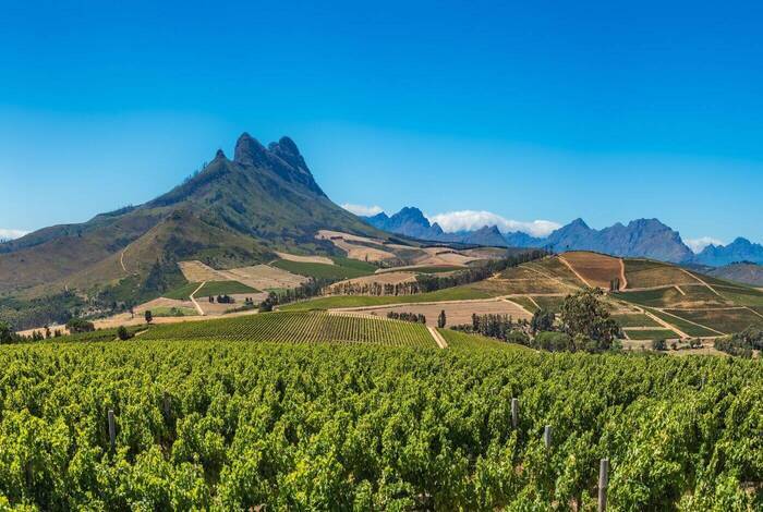 South Africa Family Safari Comfort South Africa Family Safari Comfort