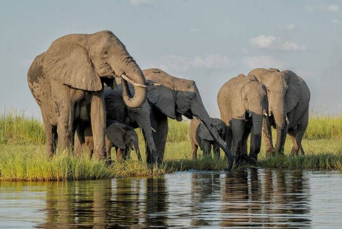 Best of Southern Africa Family Safari Comfort Best of Southern Africa Family Safari Comfort
