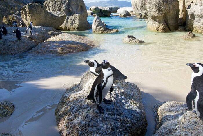 Best of Southern Africa Family Safari Comfort Best of Southern Africa Family Safari Comfort