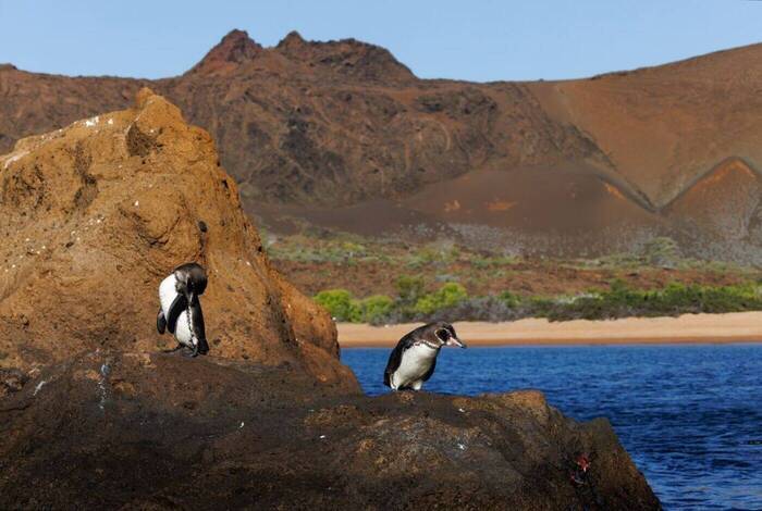 Galapagos Family Holiday