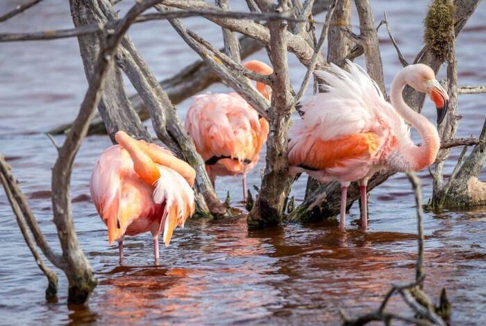 Galapagos Family Holiday