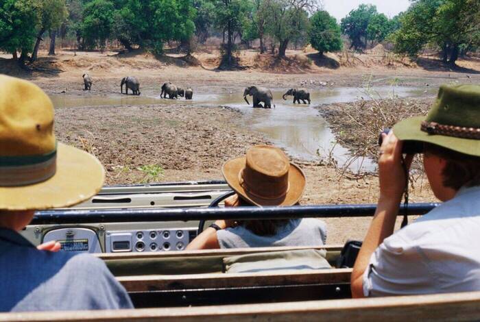Vic Falls to Stone Town