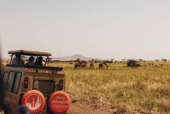 Cape Town to Kenya