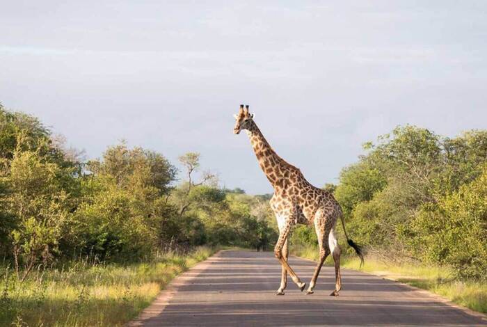 Southern Africa Adventure Southern Africa Adventure