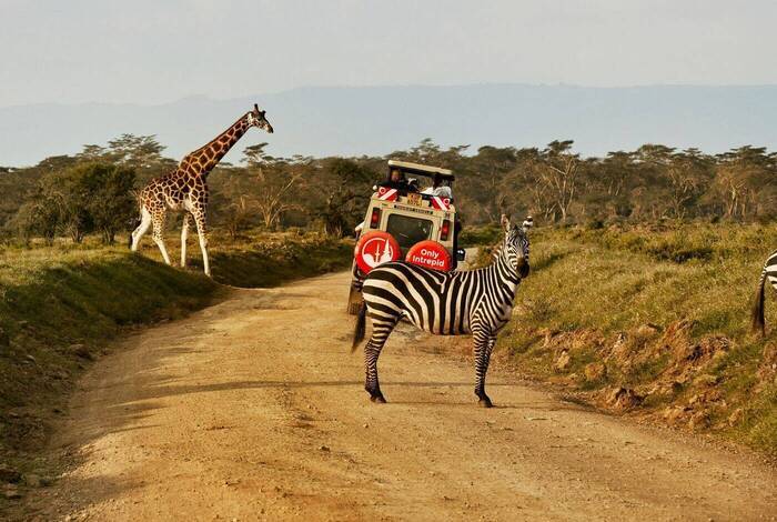 East Africa Safari Adventure East Africa Safari Adventure