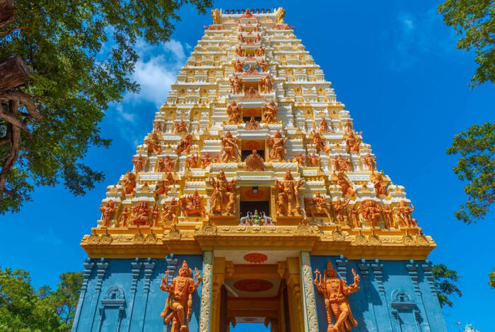 Sri Lanka: Women's Expedition
