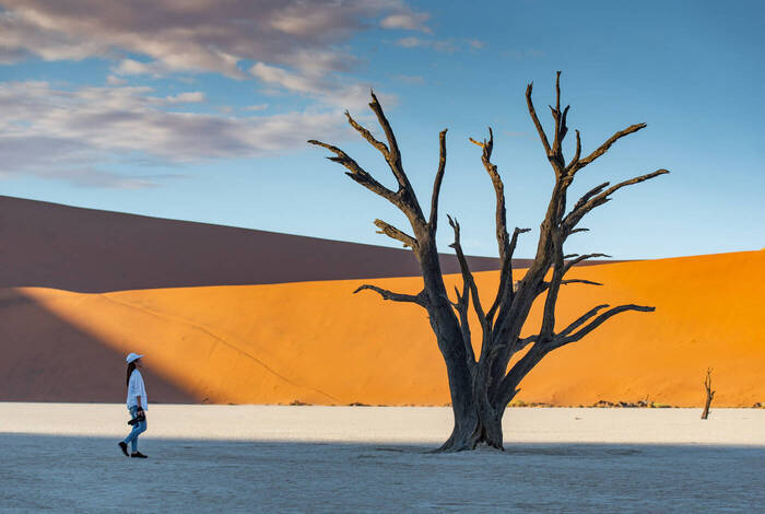 Namibia Highlights Namibia Highlights
