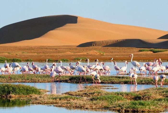 Namibia Highlights Namibia Highlights