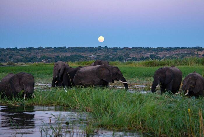 Botswana Highlights