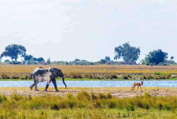 Johannesburg to Zanzibar
